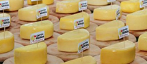 /11836queijo.jpg